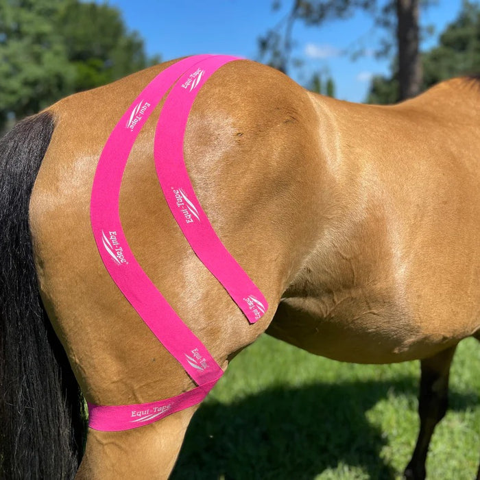 Spooky Horse? Can you really calm them without drugs?