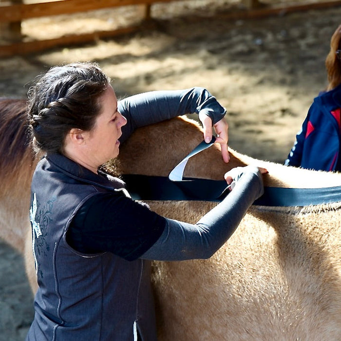 Letter from Rebecca – The Why Behind EquiTecs