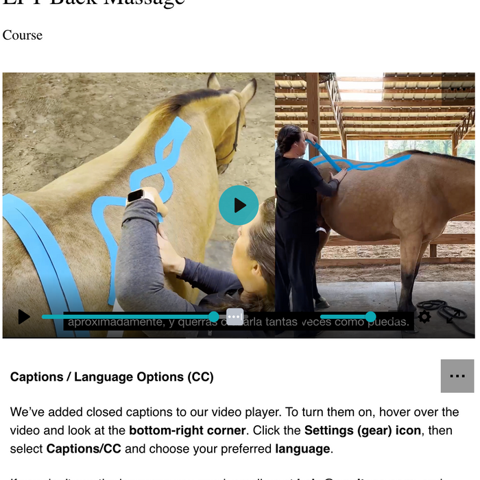 Fascia Release for Horses: Why Manual Work Can’t Compete With 24/7 Functional Taping
