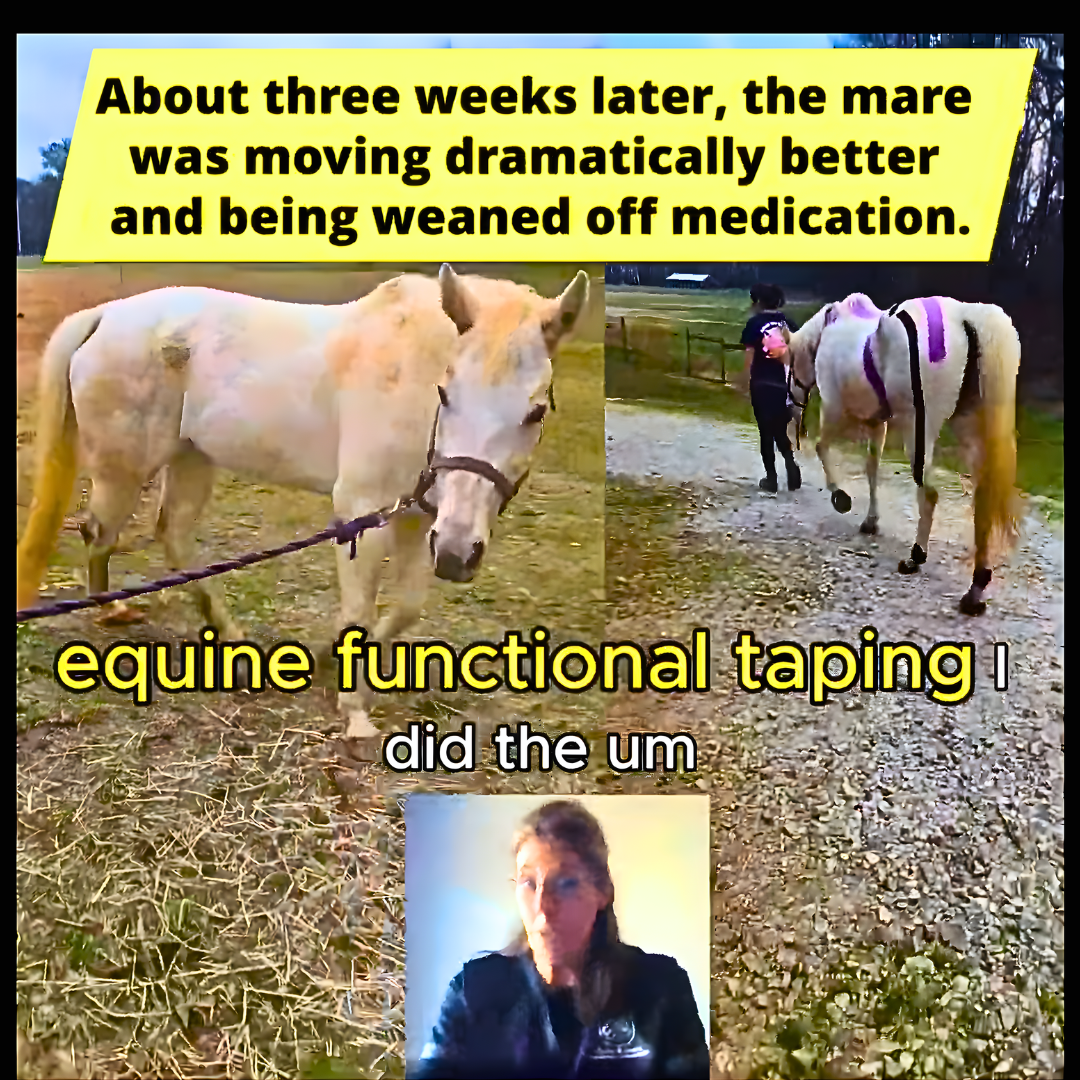 79% Case Fatality, Four Months With No Meaningful Change, and Why Practitioners Need Practical Tools in Difficult Cases