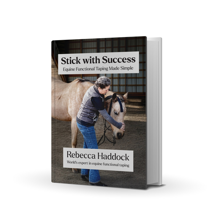 Final Recap &amp; Next Steps – Thank You, Let's Go