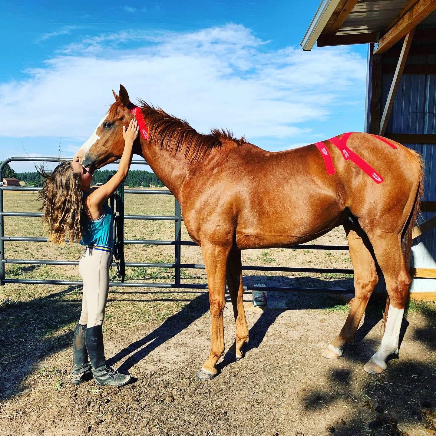 Young equestrian taking care of her horse with Equi-Tape®. She's done poll decompression, lumbar decompression and SI support.  