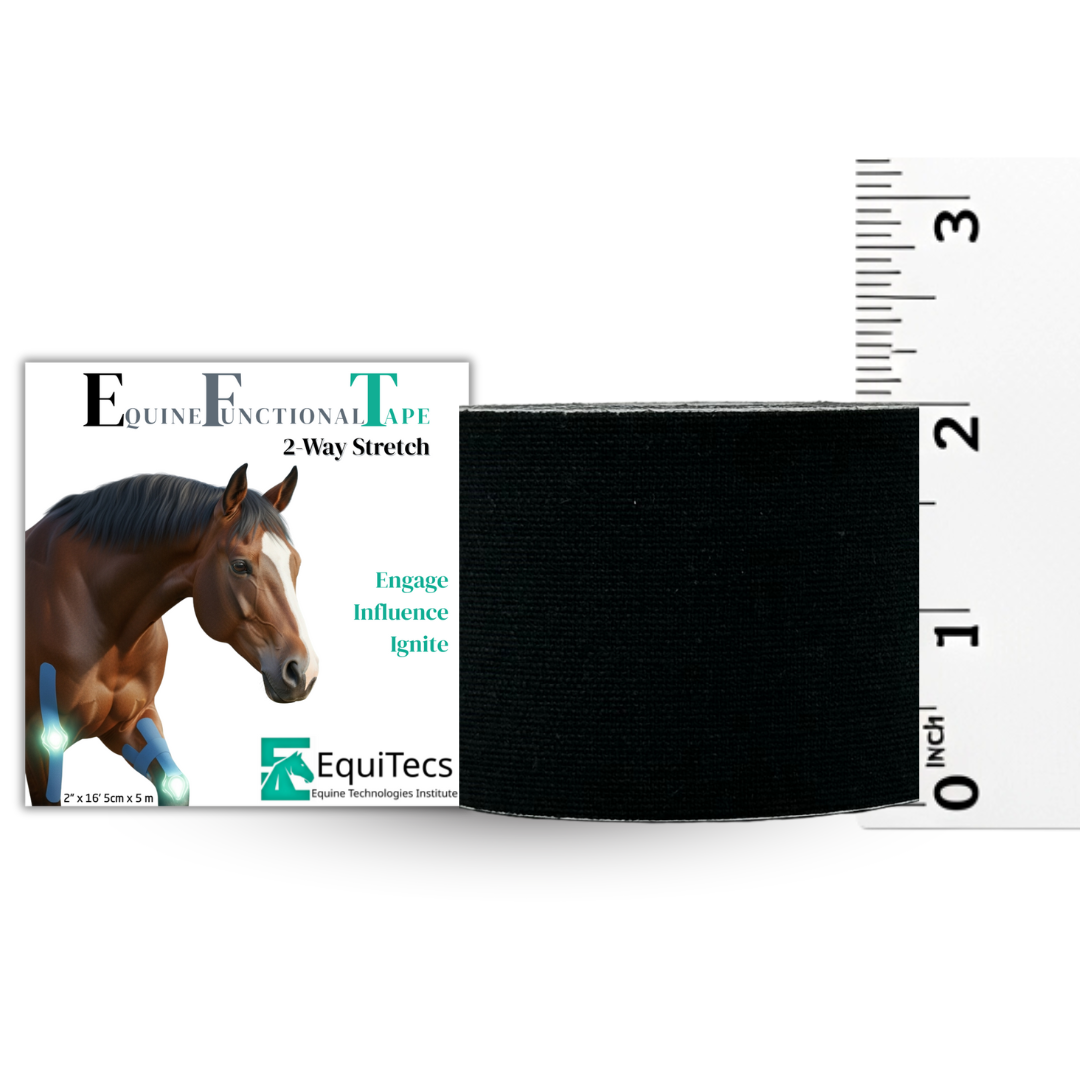 EFT Certification Course & Tape Bundle