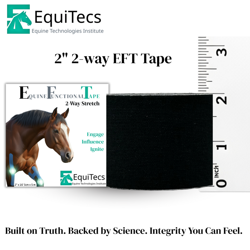 Digestive/Colic & Gastric Ulcer Support Signature Bundle