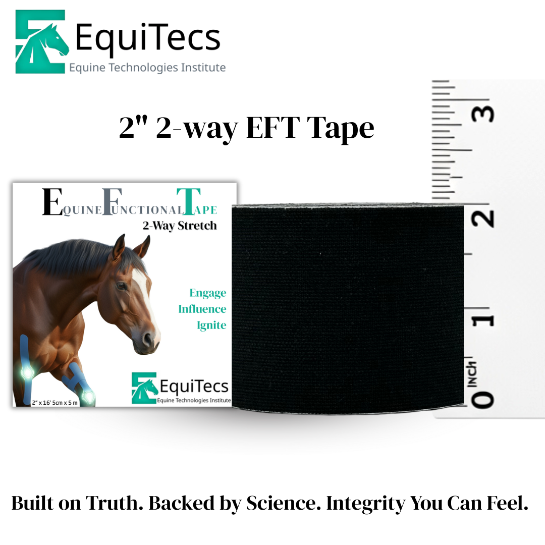 What IS Equine Functional Tape? (Hint: It’s Not Just Fancy Tape)
