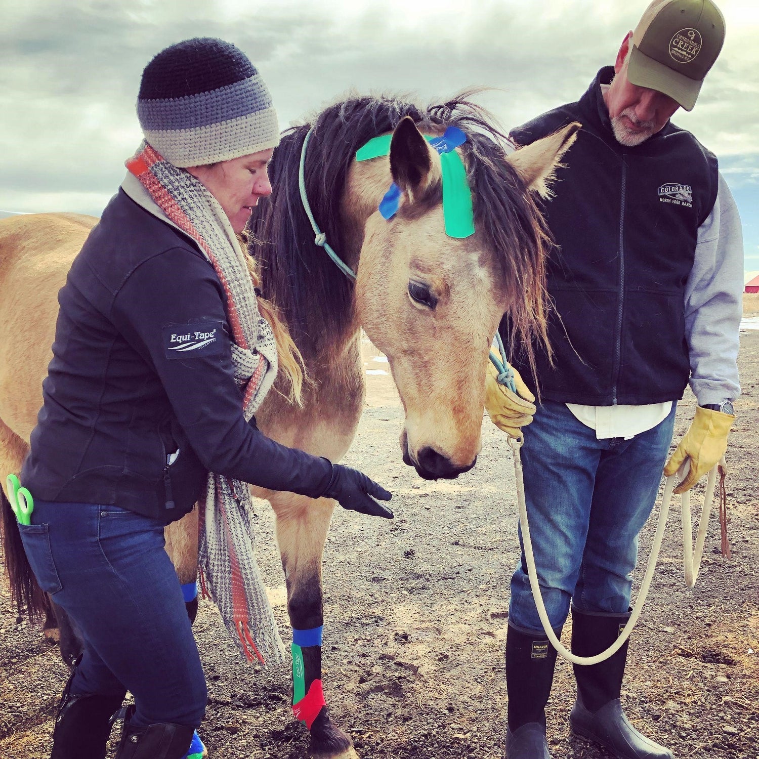 Horse owner and practitioner using Equi-Tape® during an online education session