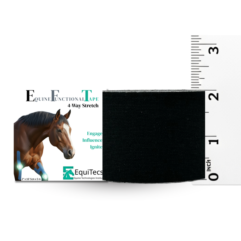 EFT Certification Course & Tape Bundle