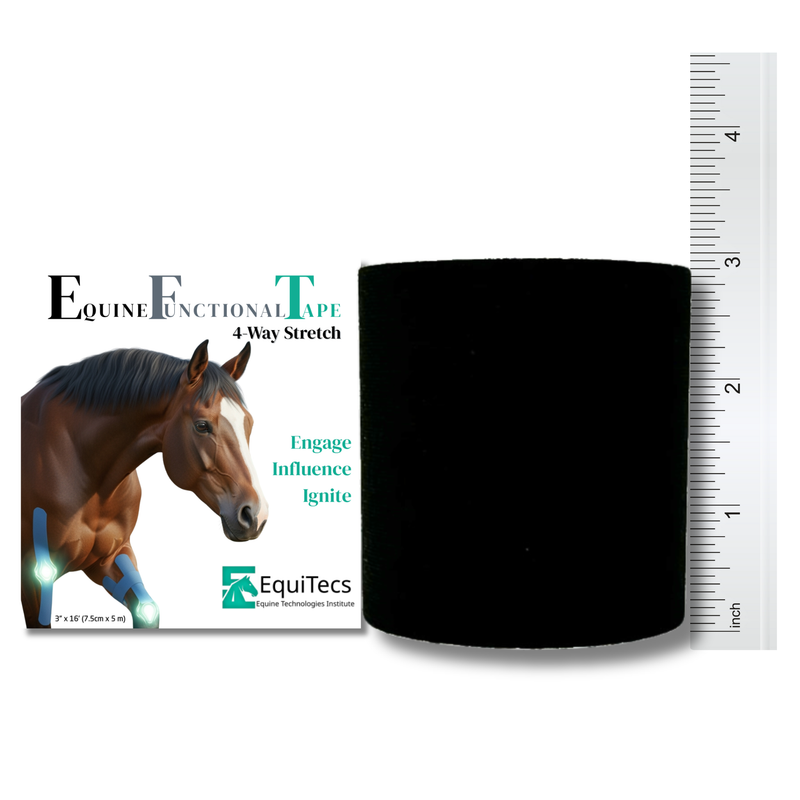 EFT Certification Course & Tape Bundle