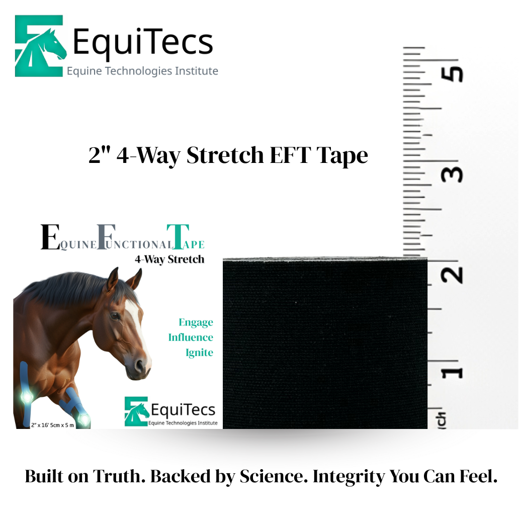 4‑way stretch tape for equine biomechanics taping and joint support - 2" single roll