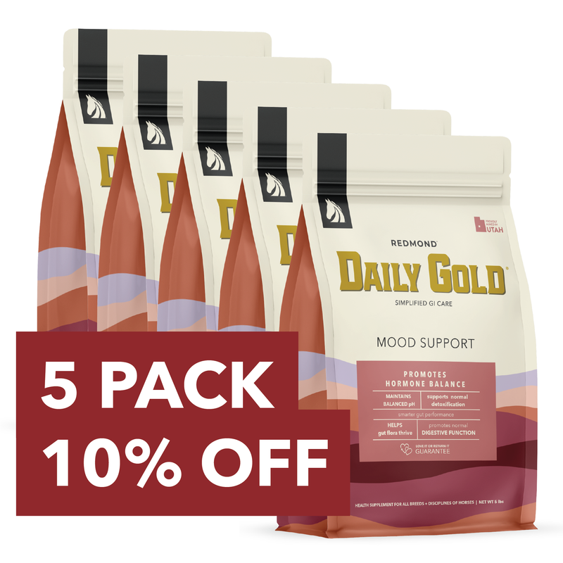 Daily Gold® Mood Support - Horse Gut Supplement