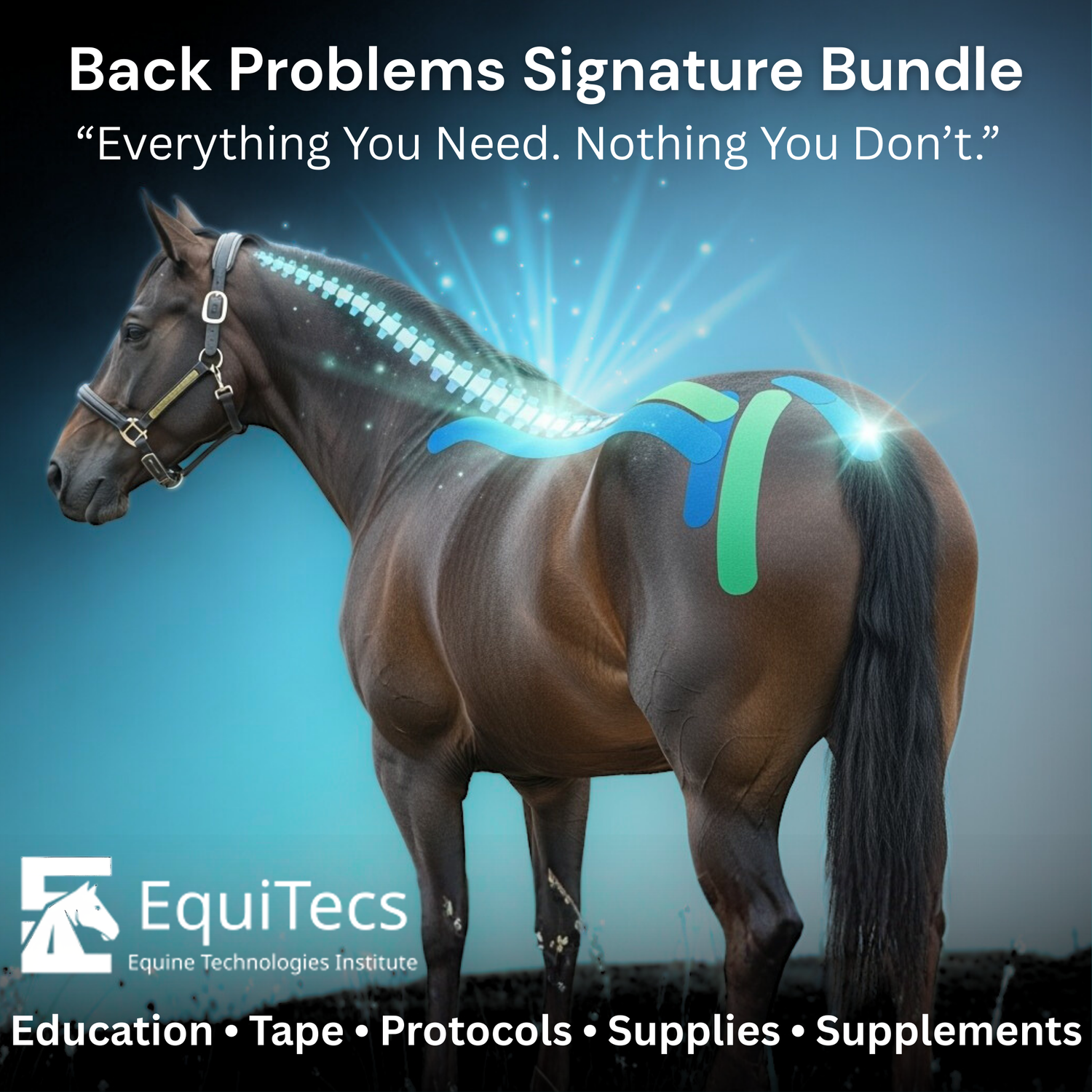 Back Problems Protocol