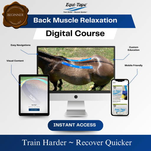 Equi-Tape Back Module Level 1 - muscle relaxation, designed for horses with sore. stiff, overworked backs. 