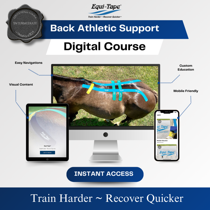 Equi-Tape®'s Back Module Level 2 - Equine back support and stability for equine athletes, or horses recovering from back injuries. 