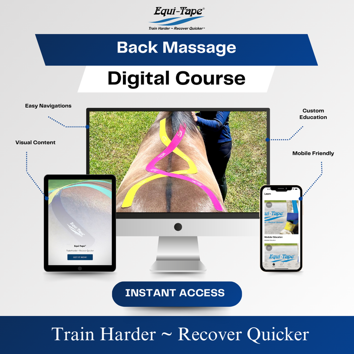 Equi-Tape®'s Practical Solutions ALA Carte video for taping horse's back to give them a myofascial back massage. 
