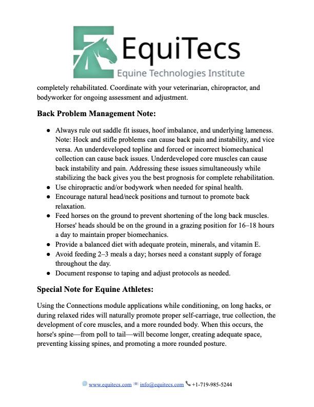 Back Pain Signature Bundle