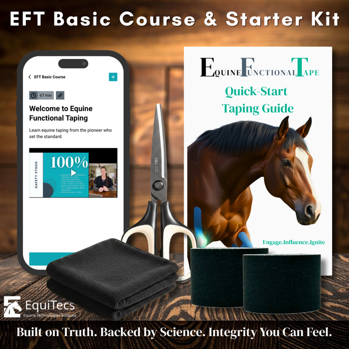 EFT Basics Course & Kit Combo