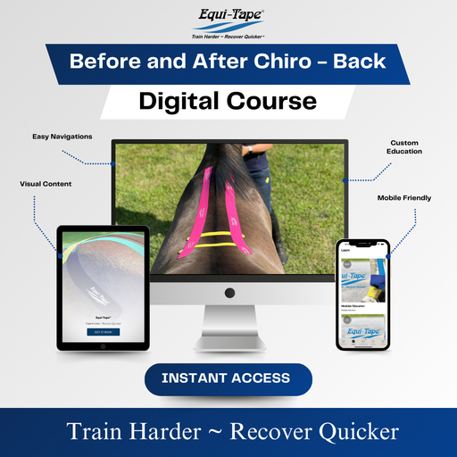 Equi-Tape®'s Practical Solutions ALA Carte video for taping the horse's back before or after a chiropractic session.