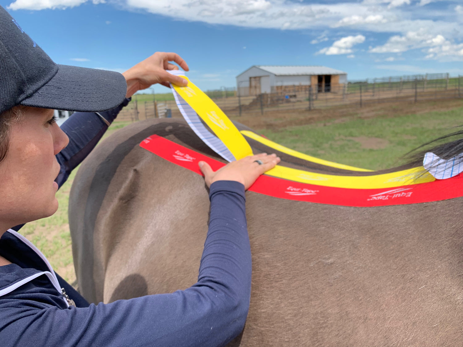 Equi-Tape® application for equine back soreness and muscle relaxation. 