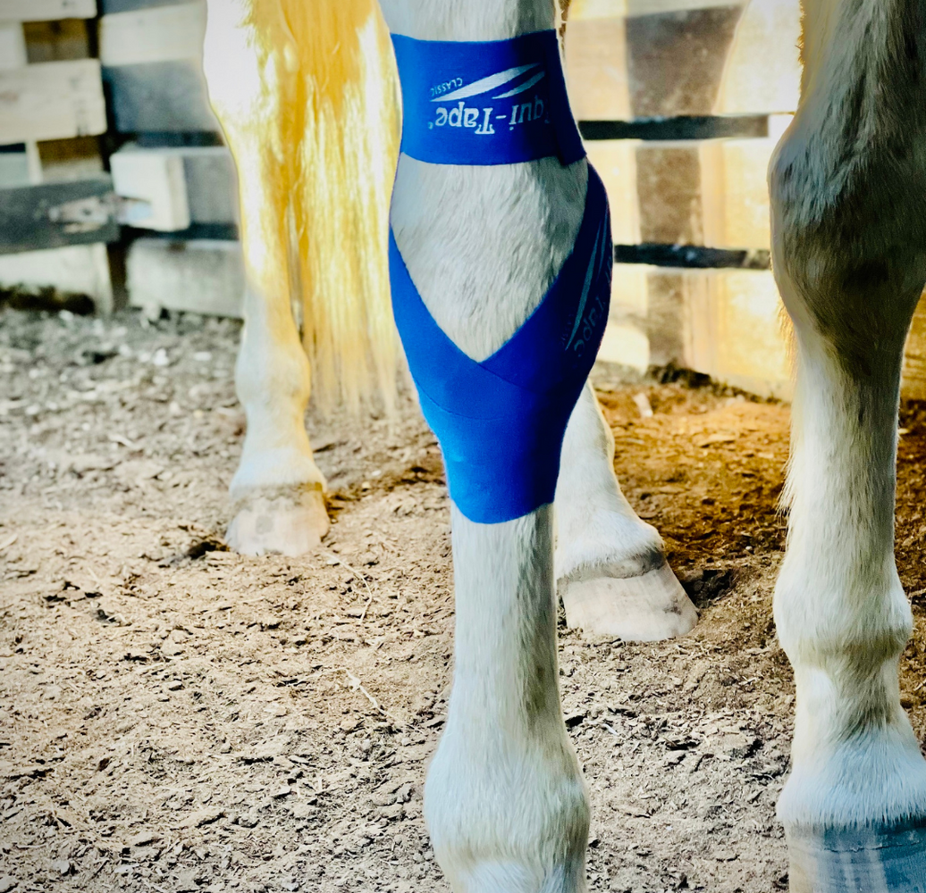 Equi-Tape® Practical Solutions Application for Carpus Support.