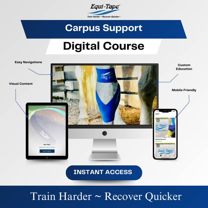 Equi-Tape®'s Practical Solutions ALA Carte application video for horses who need carpus support either due to an injury or for injury prevention. 
