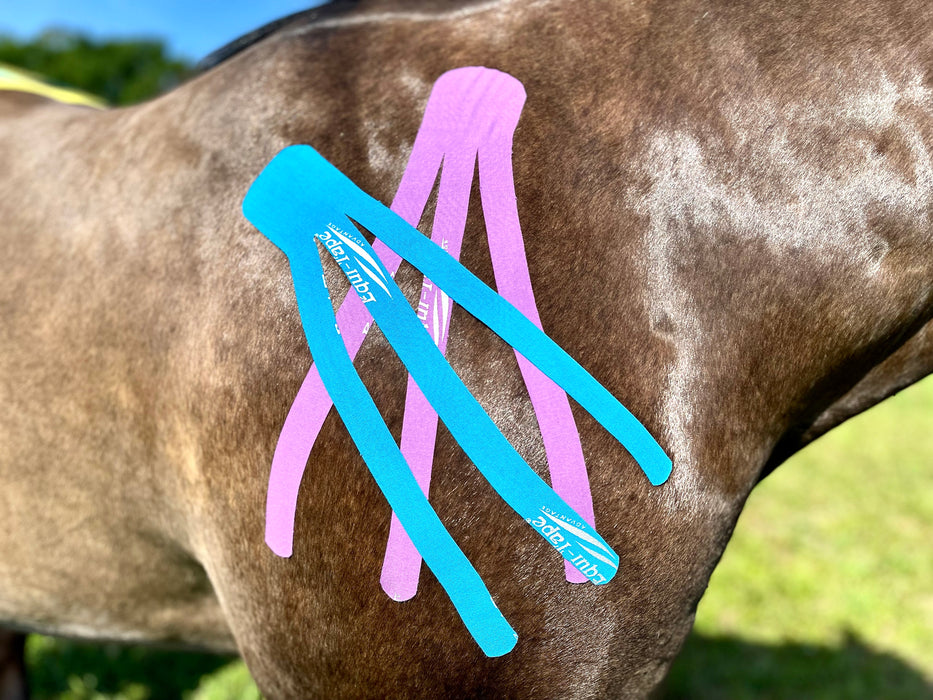 Equi-Tape® application for circulation. Use this application anywhere on the horses body that has swelling or inflammation. Equine kinesiology taping. 