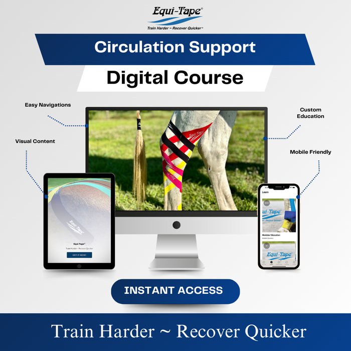 Equi-Tape®'s Practical Solutions ALA Carte application video for horses with inflammation or swelling in any joint.