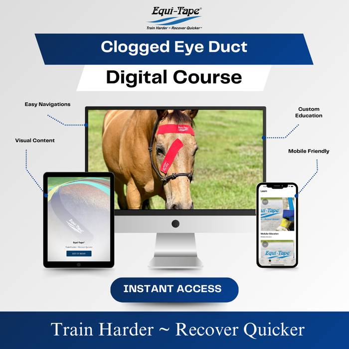 Equi-Tape®'s Practical Solutions ALA Carte application video for horses who get clogged eye ducts. 