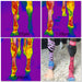 Thermography shows increased circulation in equine distal limbs due to the application of Equi-Tape (equine kinesiology).