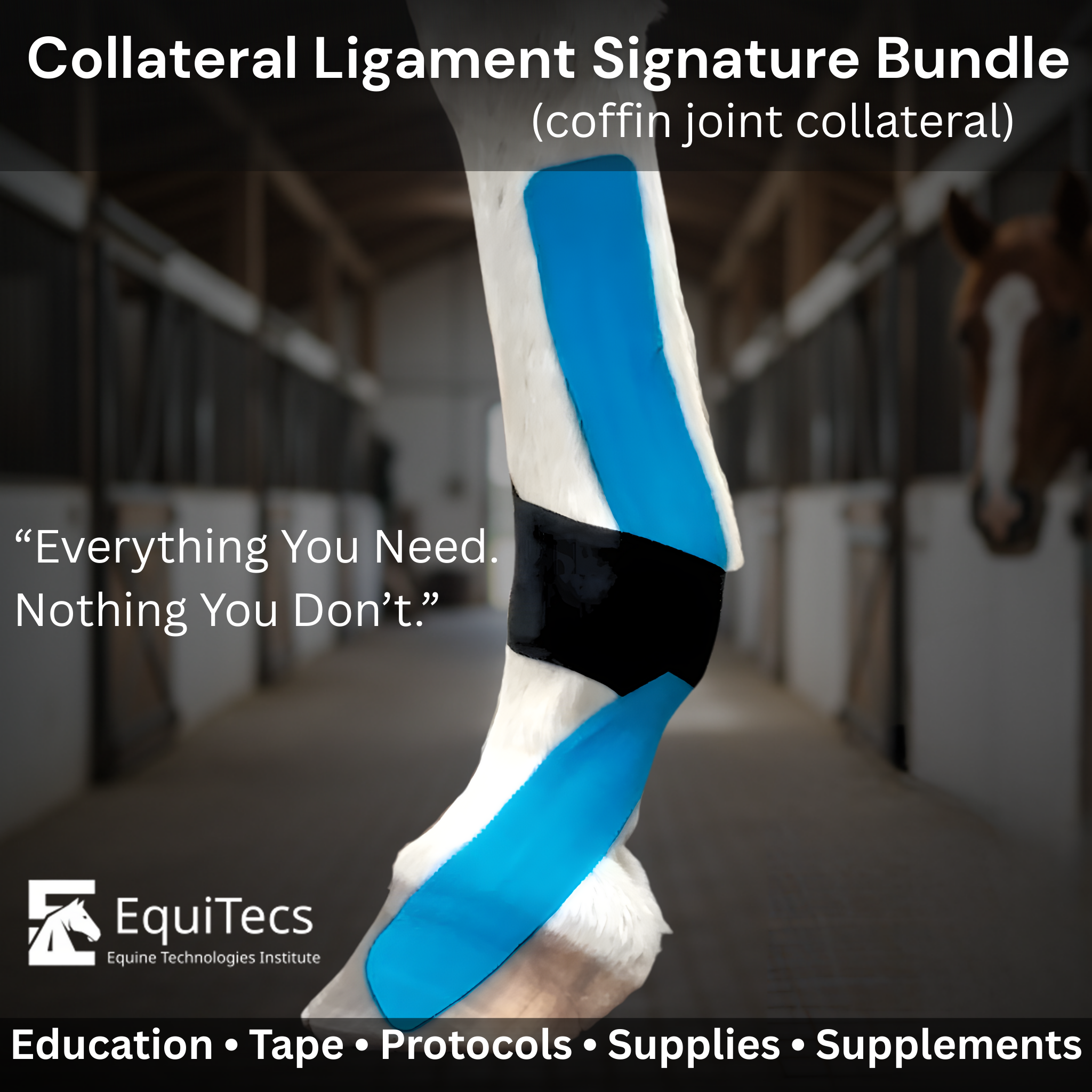 Equine Collateral Ligament Functional Taping Kit | Complete Bundle ...