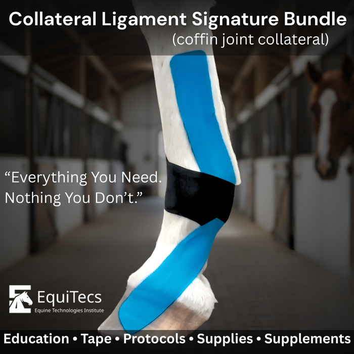 Collateral Ligament Signature Bundle