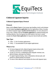 EquiTecs collateral ligament injury protocol page 1 for horse ligament rehab and tissue healing.