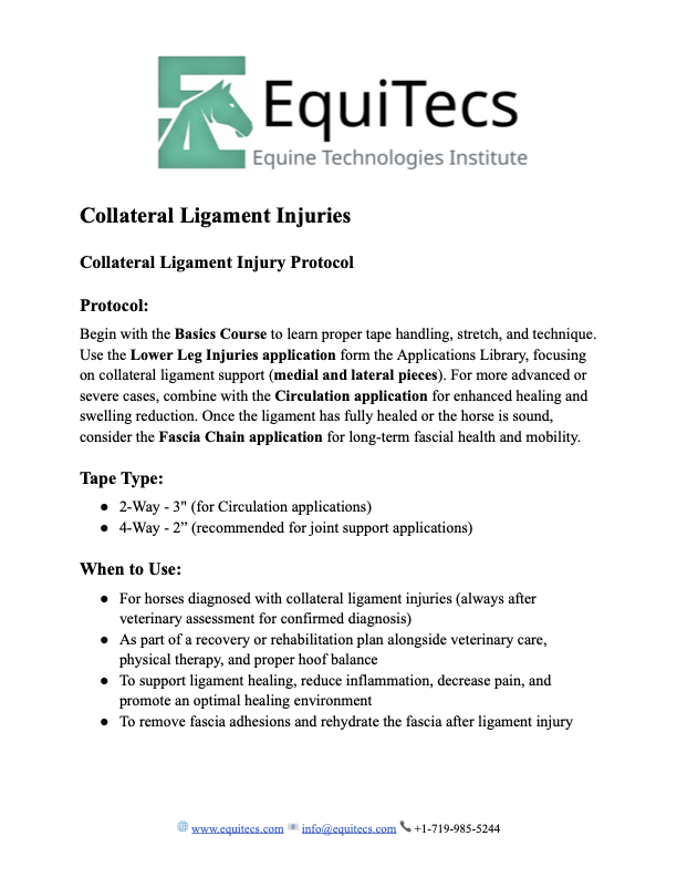 EquiTecs collateral ligament injury protocol page 1 for horse ligament rehab and tissue healing.
