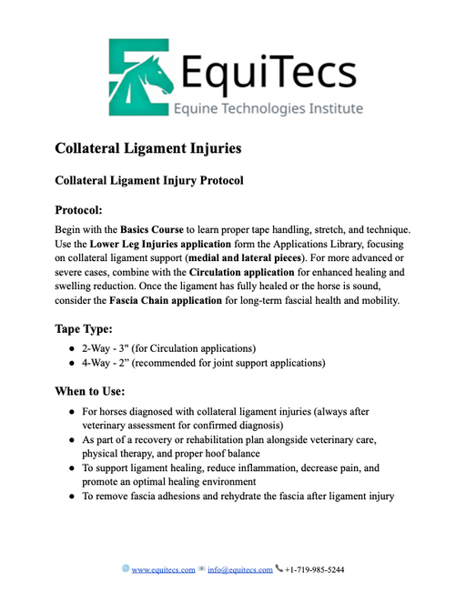 EquiTecs collateral ligament injury protocol page 1 for horse ligament rehab and tissue healing.