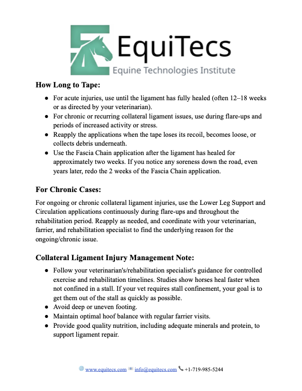 EquiTecs collateral ligament injury protocol outlining horse soft tissue taping timelines and rehab.