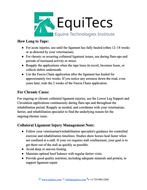 EquiTecs collateral ligament injury protocol outlining horse soft tissue taping timelines and rehab.