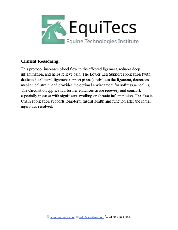 EquiTecs clinical reasoning guide for horse collateral ligament injury rehab and soft tissue healing.