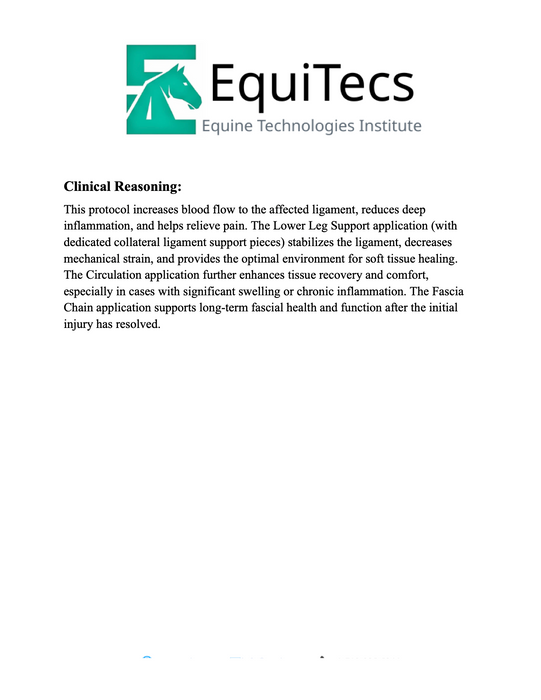 Collateral Ligament Injuries Protocol