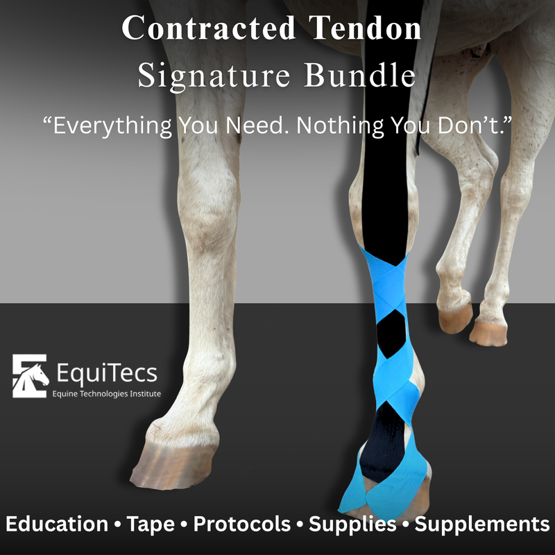 Non-surgical equine contracted tendon support for newborn foals using EquiTecs EFT taping.