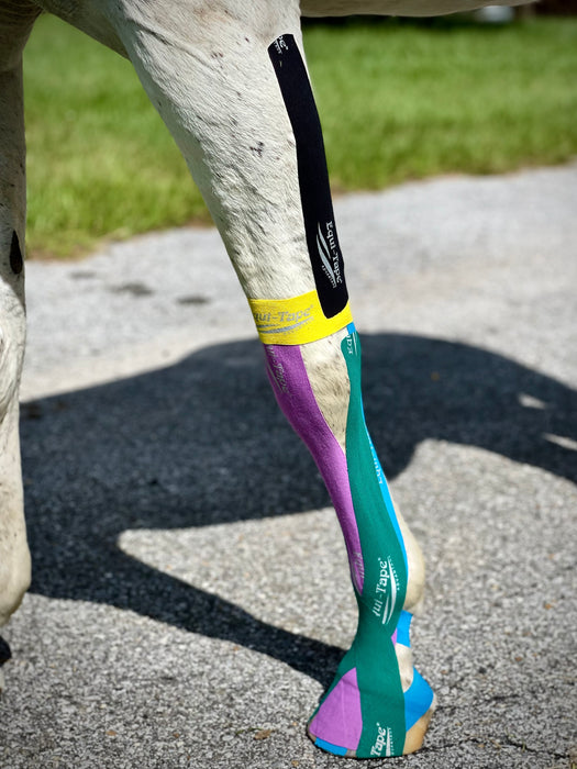 Equi-Tape®'s equine kinesiology taping application for: Contracted Tendons Corrective Support: Advanced taping to help correct contracted tendons—ideal for rehab or complex cases.