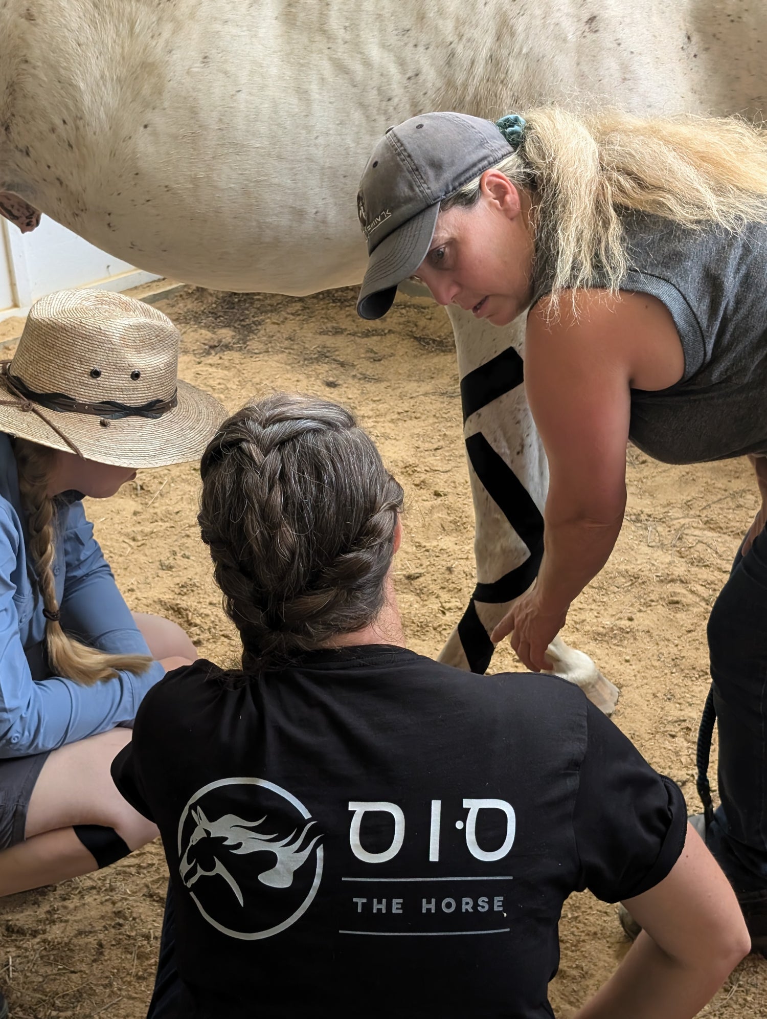 For Schools and Associations