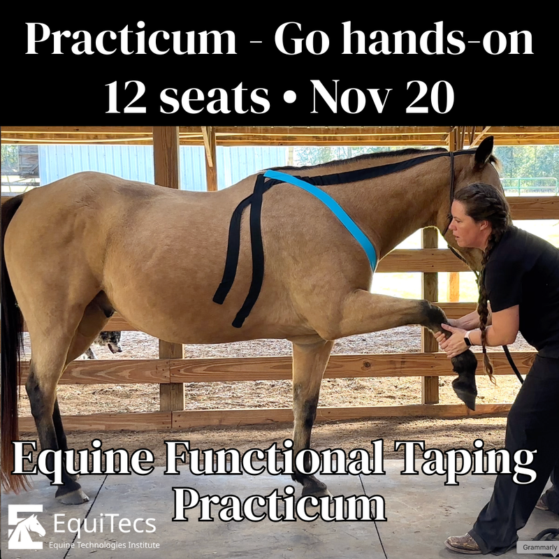 EFT Certification Practicum (In Person)