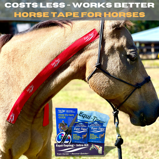 Equi-Tape Kit - Everything you need to start taping today!
