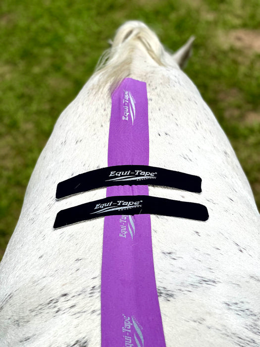 Equi-Tape® application for kissing spines. Decompresses the back and the spinous process creaes space, increases healing speed, reduces inflammation and swelling which reduces pain and discomfort. 