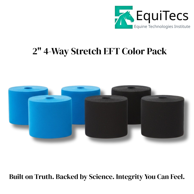 Back Pain Signature Bundle