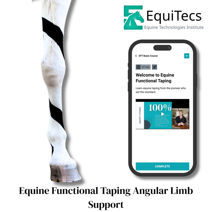 EquiTecs EFT Application Library