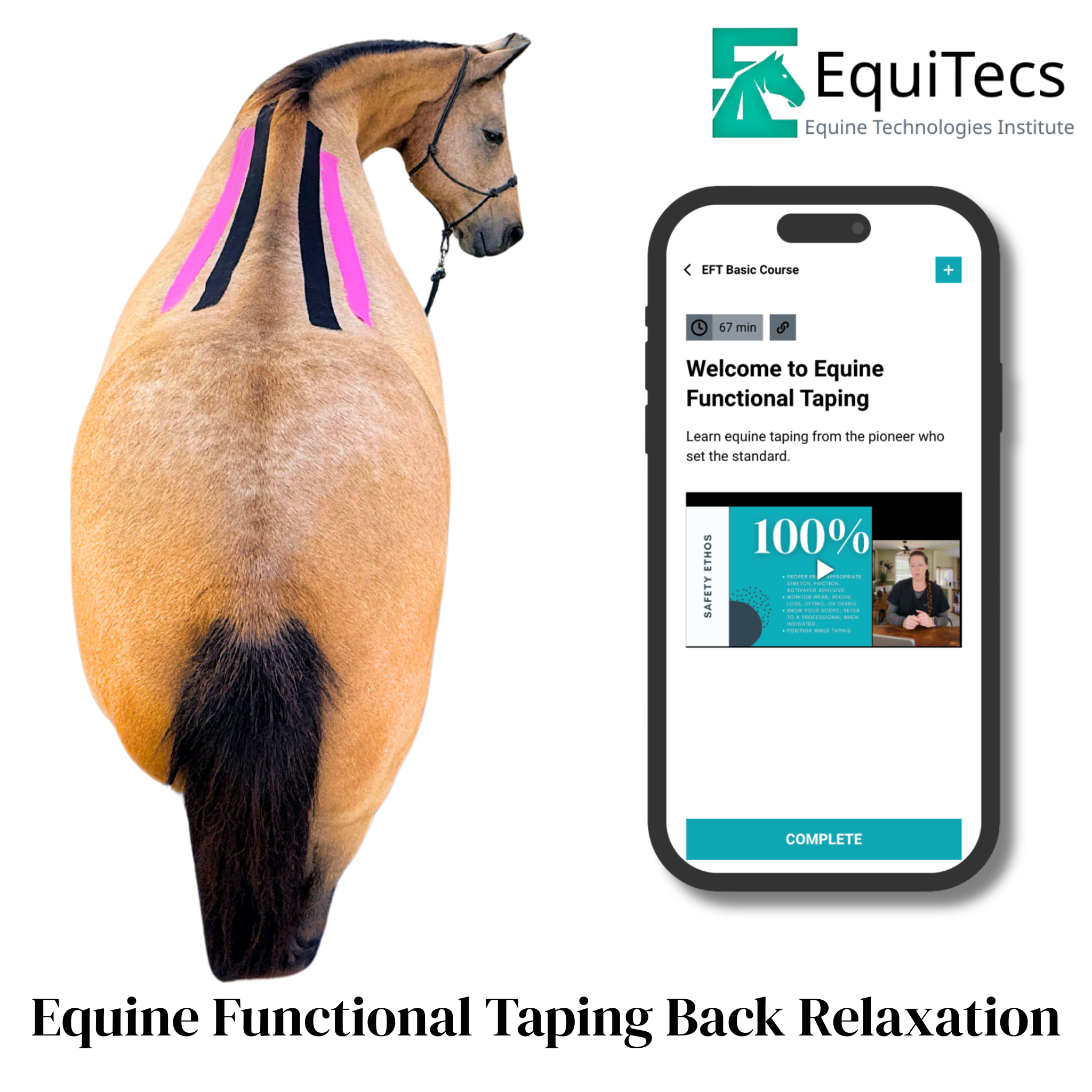 EquiTecs EFT Muscle Relaxation Back digital course demonstrating horse spine functional taping for back muscle relaxation tight back soreness tension patterns and topline development.