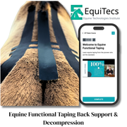 EquiTecs EFT Back Support & Decompression digital course demonstrating thoracic lumbar functional taping for horse back injury rehab kissing spine support and instability patterns.