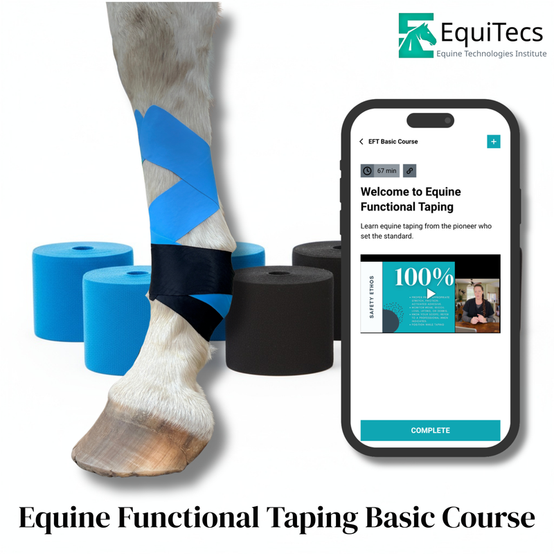 Complete Education + Essential Books Bundle