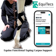 Equine functional taping for horse carpus support, knee arthritis, and post-op joint rehabilitation.