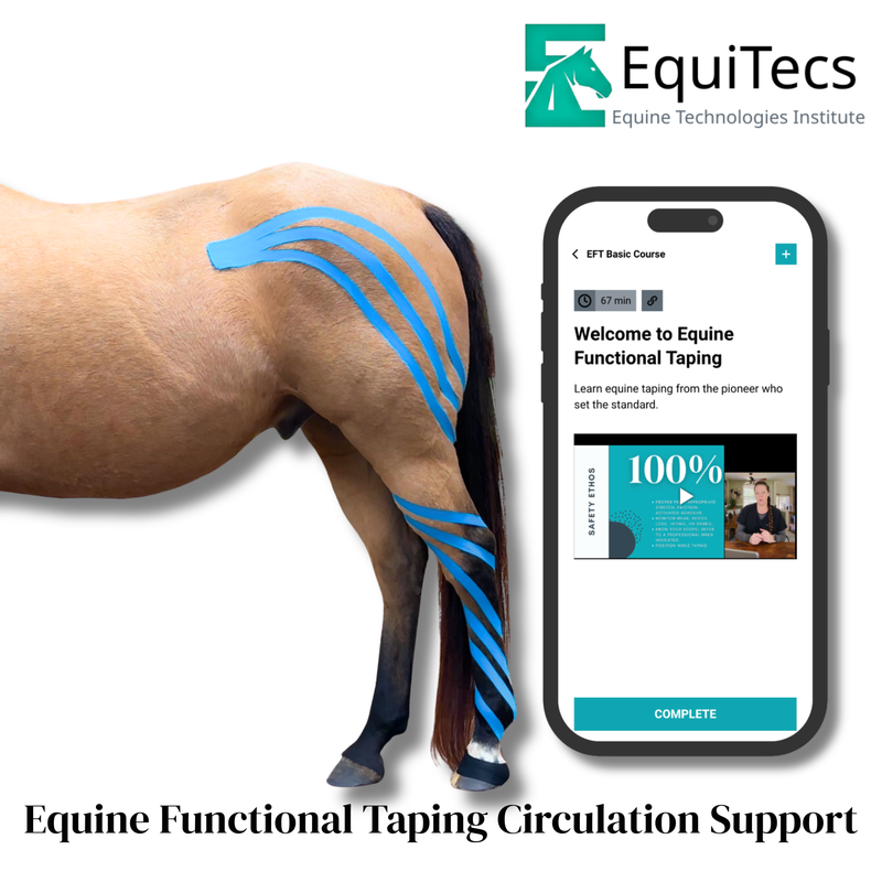 EFT Certification Course & Tape Bundle